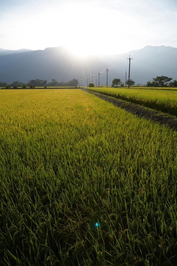 Lost And Find Homestay Guanshan Bagian luar foto