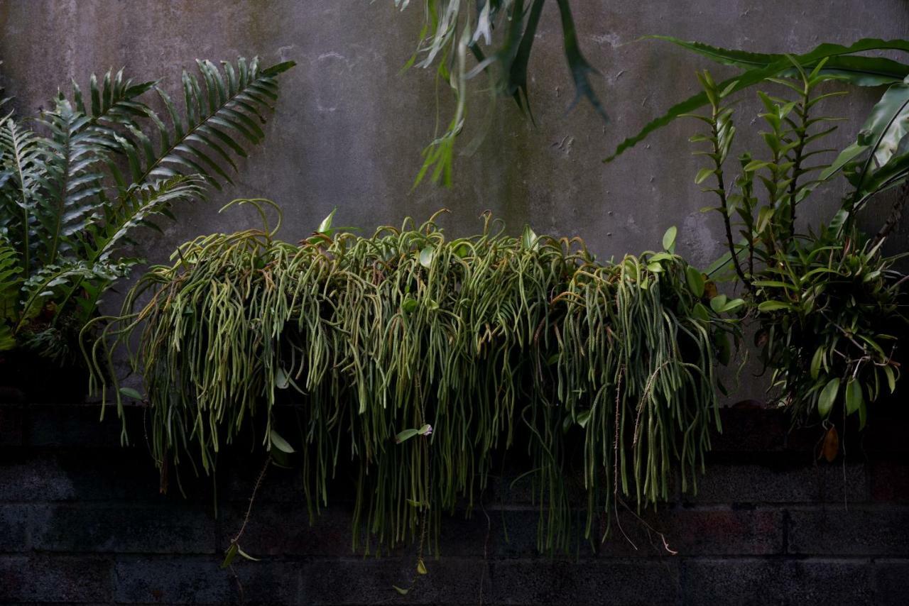 Lost And Find Homestay Guanshan Bagian luar foto